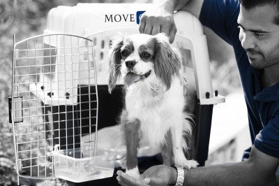 Move One